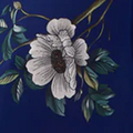 Akari Crepe Top - Magical Blossom Navy